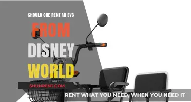 Should You Rent an EVC at Disney World? Pros and Cons