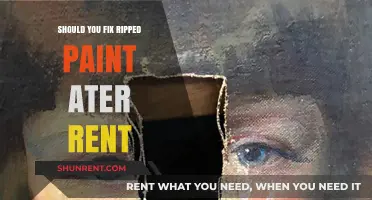 Should You Repair Ripped Paint After Renting? A Tenant's Guide