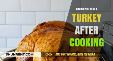 Renting a Turkey Post-Cooking: A Practical Holiday Solution?