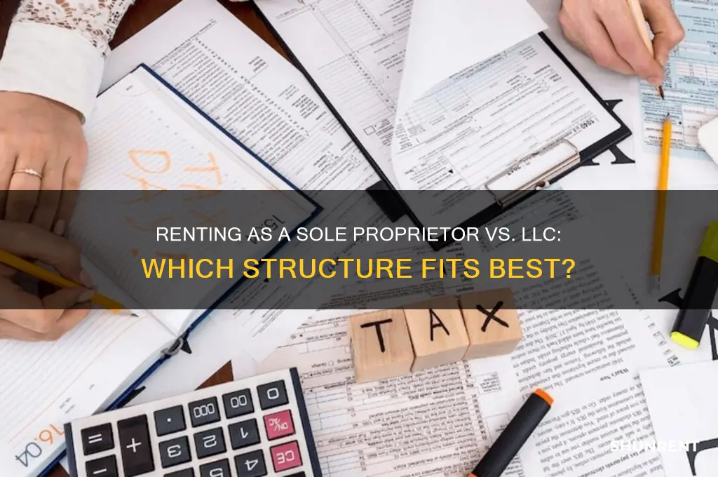 should you rent as a sole proprietor or llc