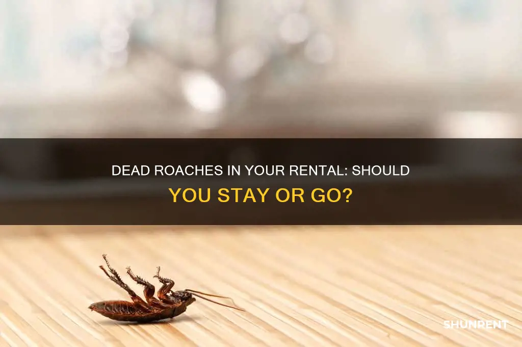 should you rent if you find dead roaches