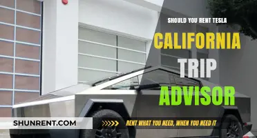 Renting a Tesla in California: Trip Advisor Tips and Insights