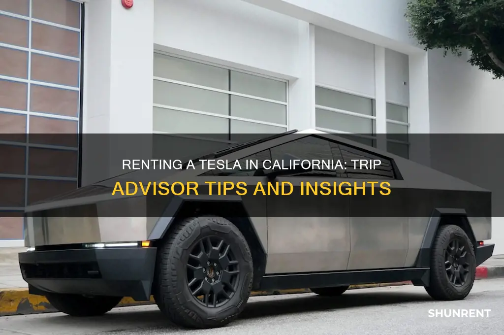 should you rent tesla california trip advisor