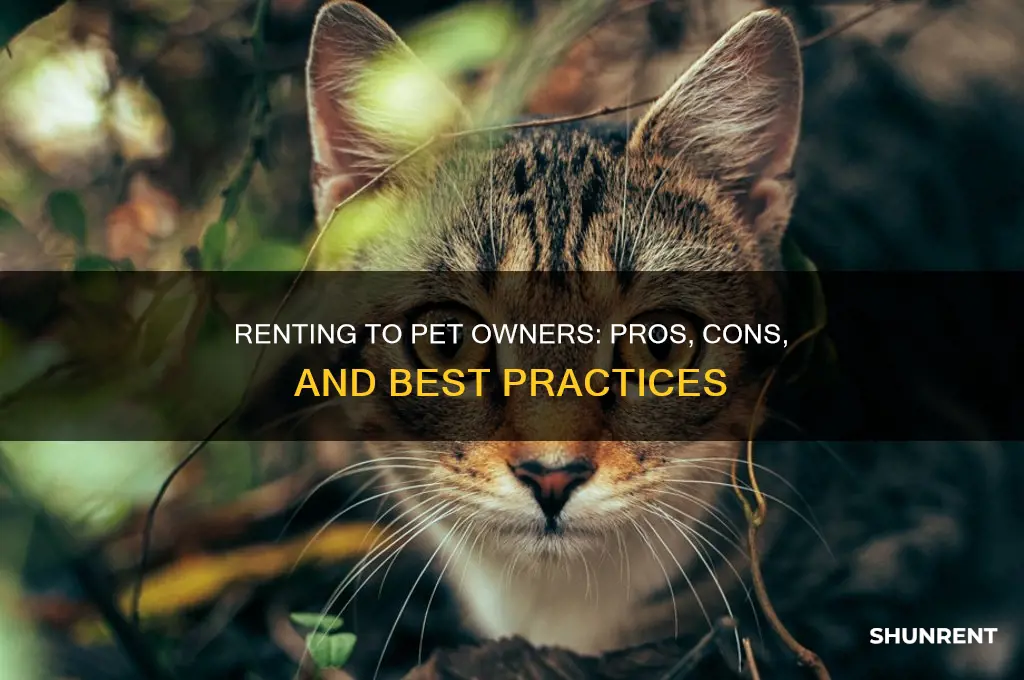 should you rent to someone with pets