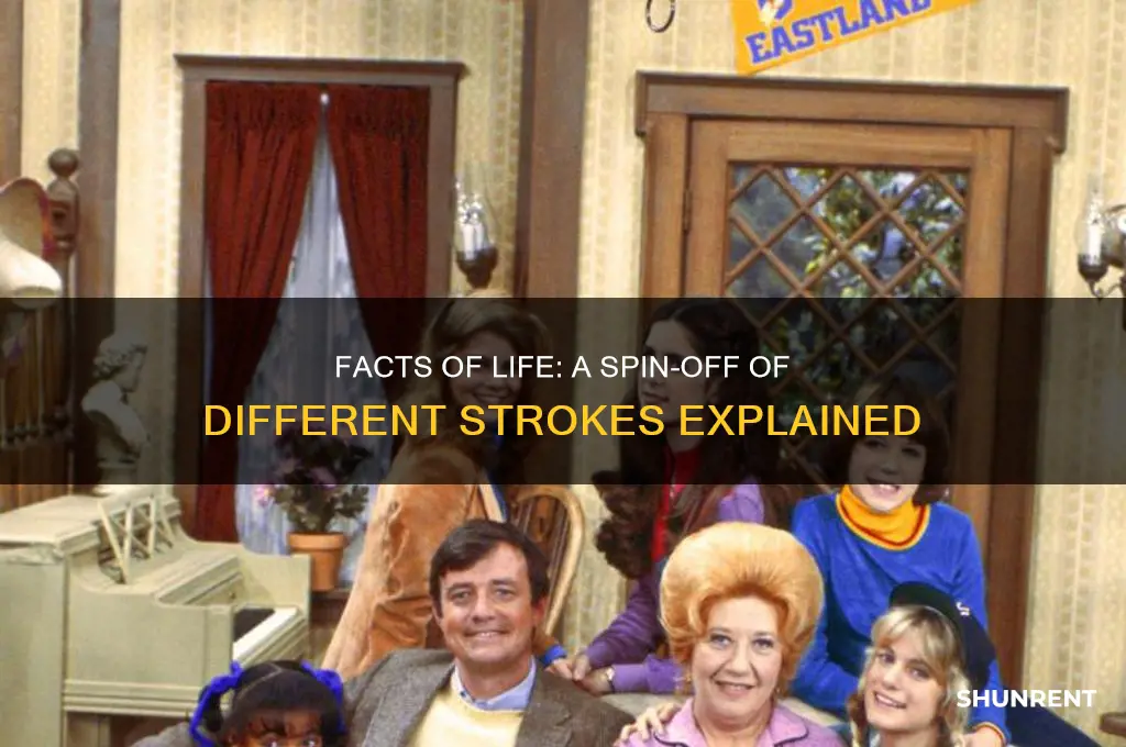 was facts of life a spin off of different strokes
