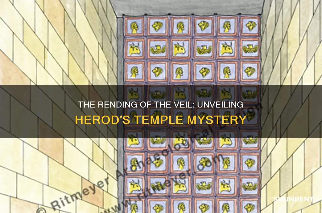 was the veil was rent i herod