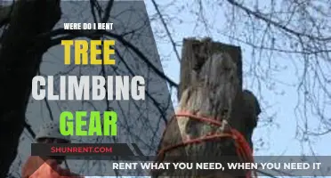 Where to Rent Tree Climbing Gear: A Beginner's Guide
