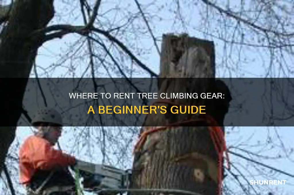 were do i rent tree climbing gear