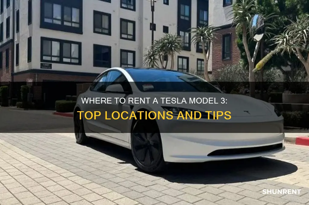 were to rent a model 3 tesla