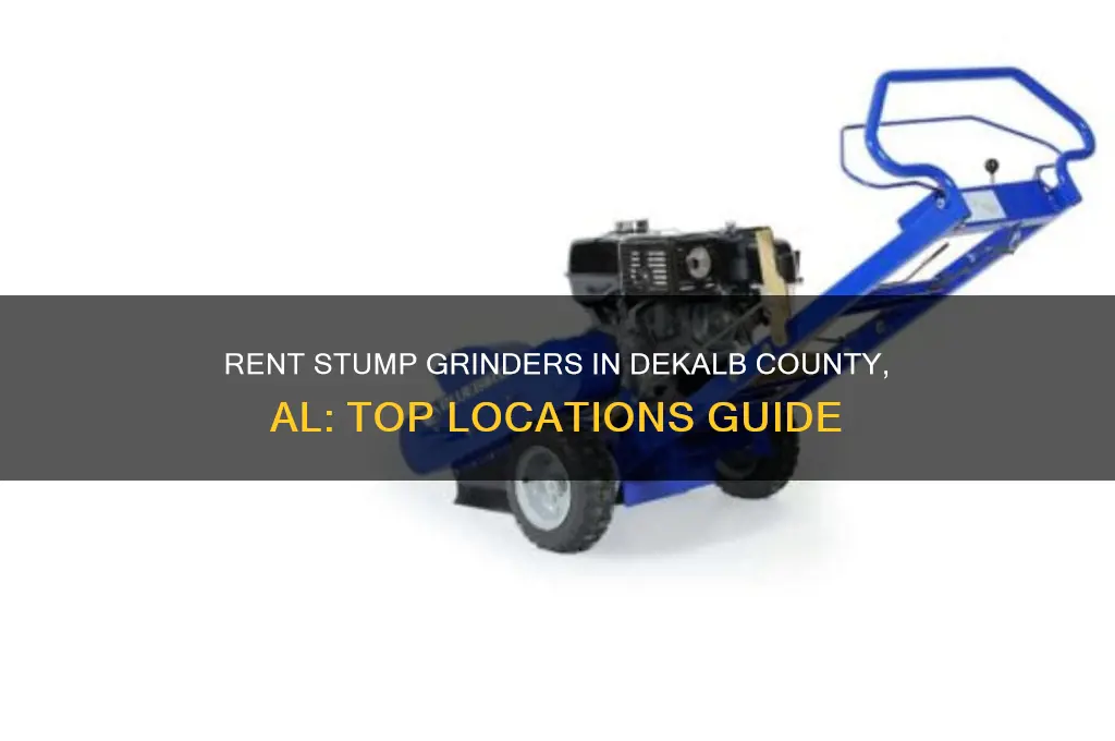were to rent a stump grinding in dekalb county al
