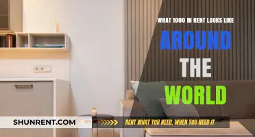 Exploring Global Rent: What $1000 Gets You Worldwide