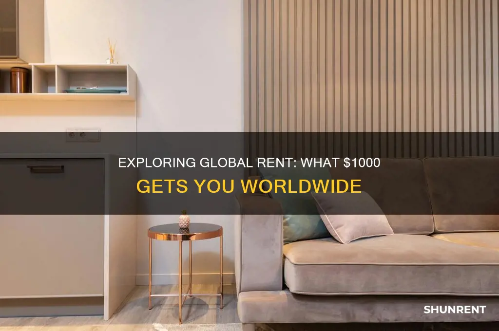 what 1000 in rent looks like around the world