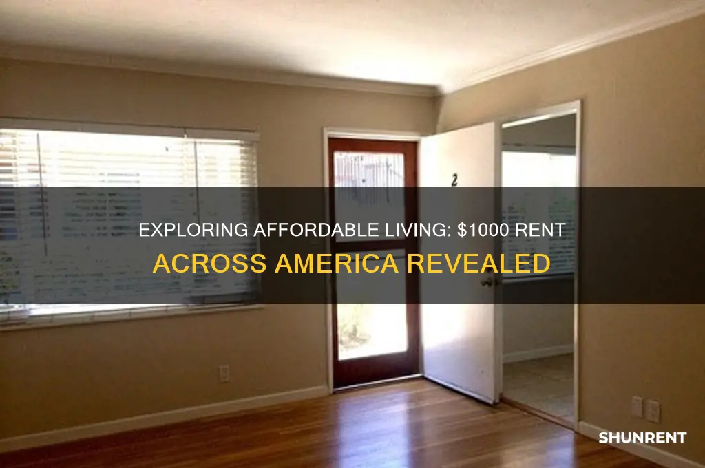 what 1000 rent looks like across america