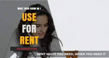 Choosing the Right 1099 Form for Reporting Rental Income