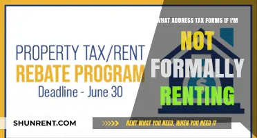 Tax Form Address Tips for Informal Renters: What to Do