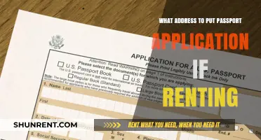 Renting and Passport Applications: What Address to Use for Success