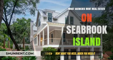 Discover Top Agencies for Seabrook Island Real Estate Rentals