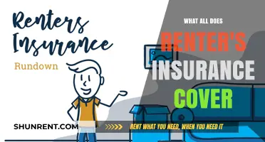 What Renter's Insurance Covers: Essential Protection for Your Belongings