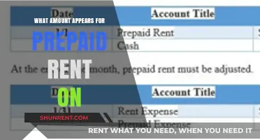 Understanding Prepaid Rent: What Amount Appears on Your Financial Statements?