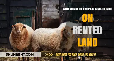 Raising Livestock on Rented Land: European Families' Go-To Animal Choice
