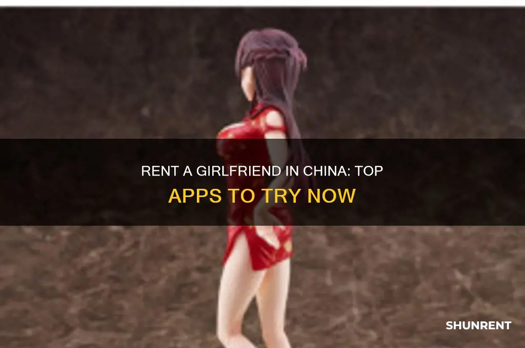 what app to use to rent a girlfriend in china