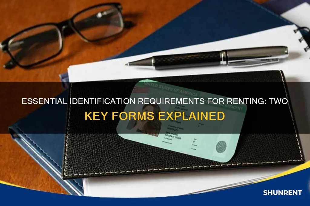 what are 2 forms of id for renting