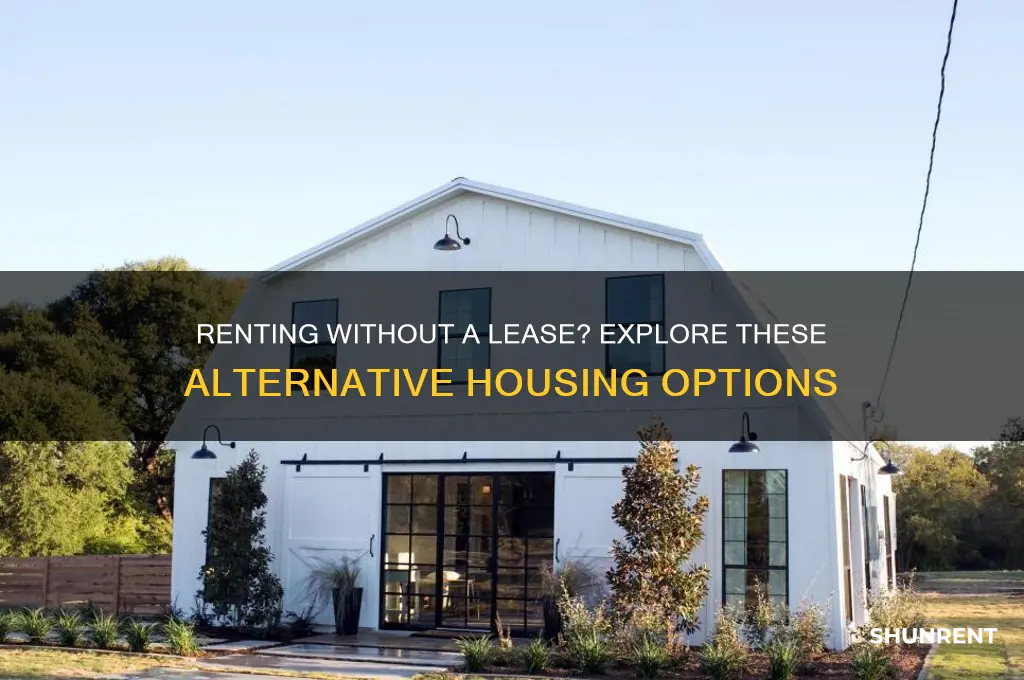 what are alternatives if renting without lease agreement