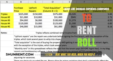 Balancing Property Costs: Average Expenses vs. Rent Roll Insights