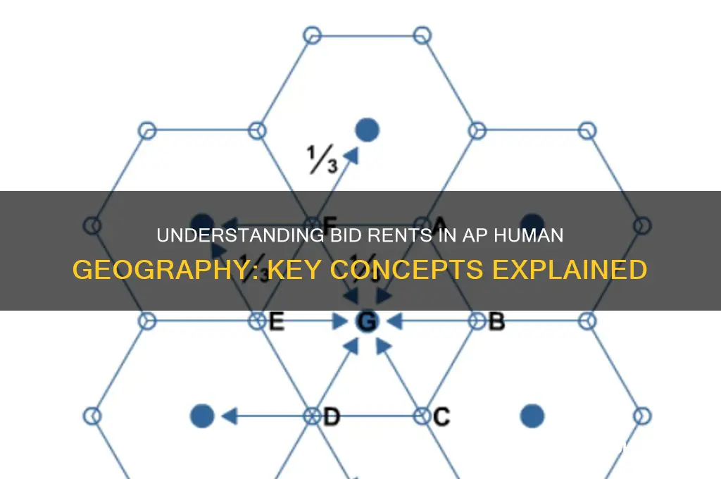 what are bid rents ap human geography