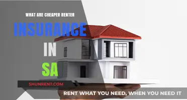 Affordable Renter Insurance Options in South Africa: A Comprehensive Guide