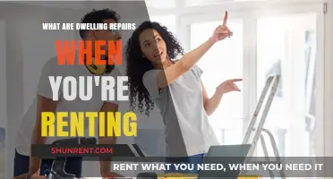 Understanding Your Rights: Dwelling Repairs as a Renter Explained