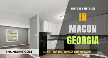 Exploring Macon, Georgia: What to Expect from Local E-Rents