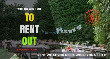 Profitable Rental Ideas: Top Items to Rent Out for Extra Income