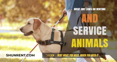 Renting with Service Animals: Understanding Legal Rights and Responsibilities
