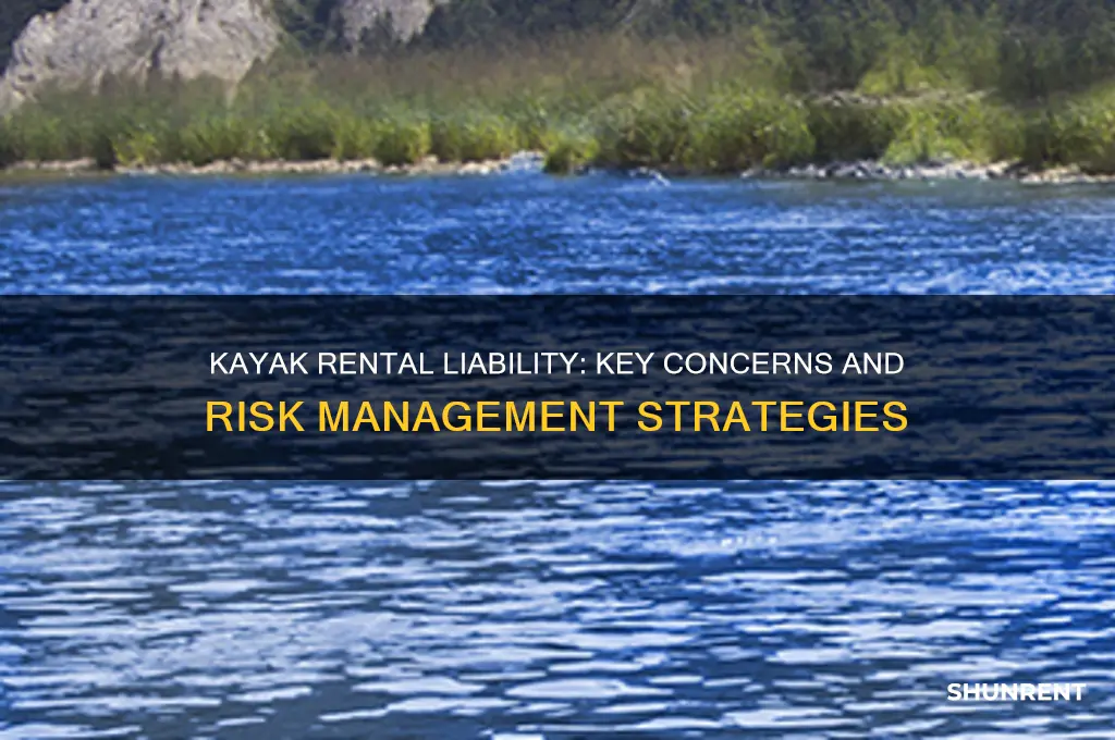 what are liability concerns for renting kayaks