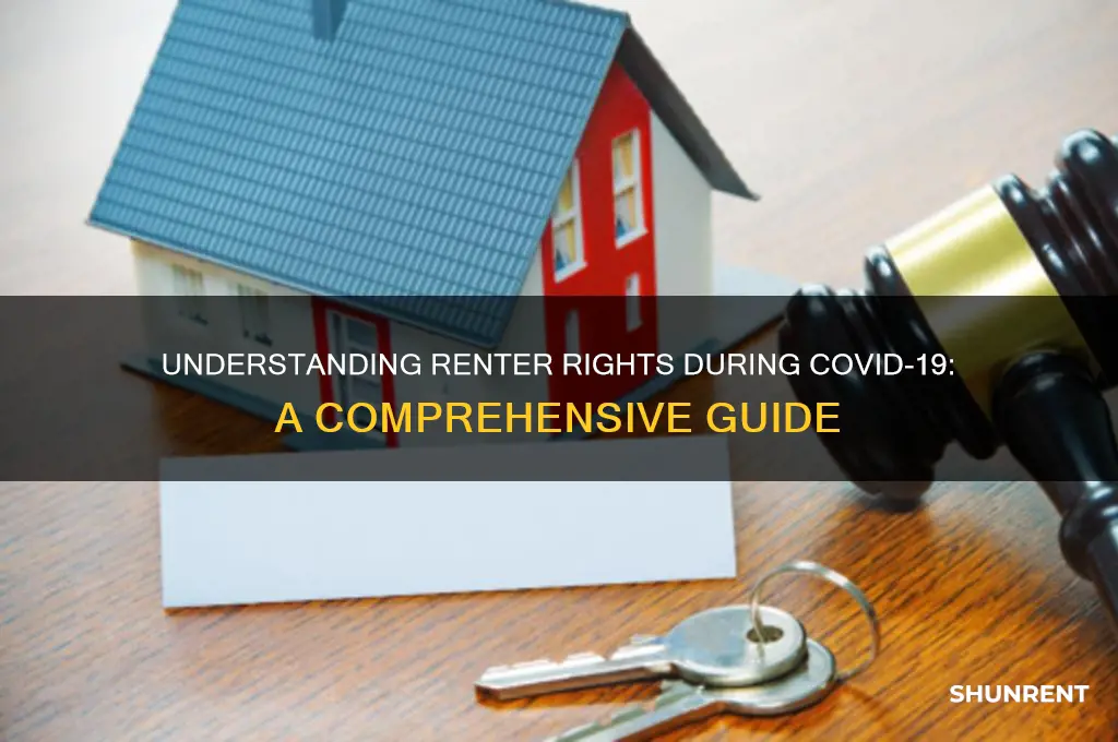 what are my rights as a renter during covid 19
