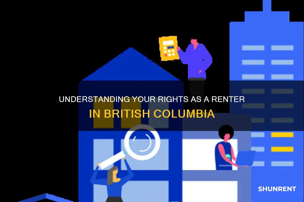 what are my rights as a renter in bc