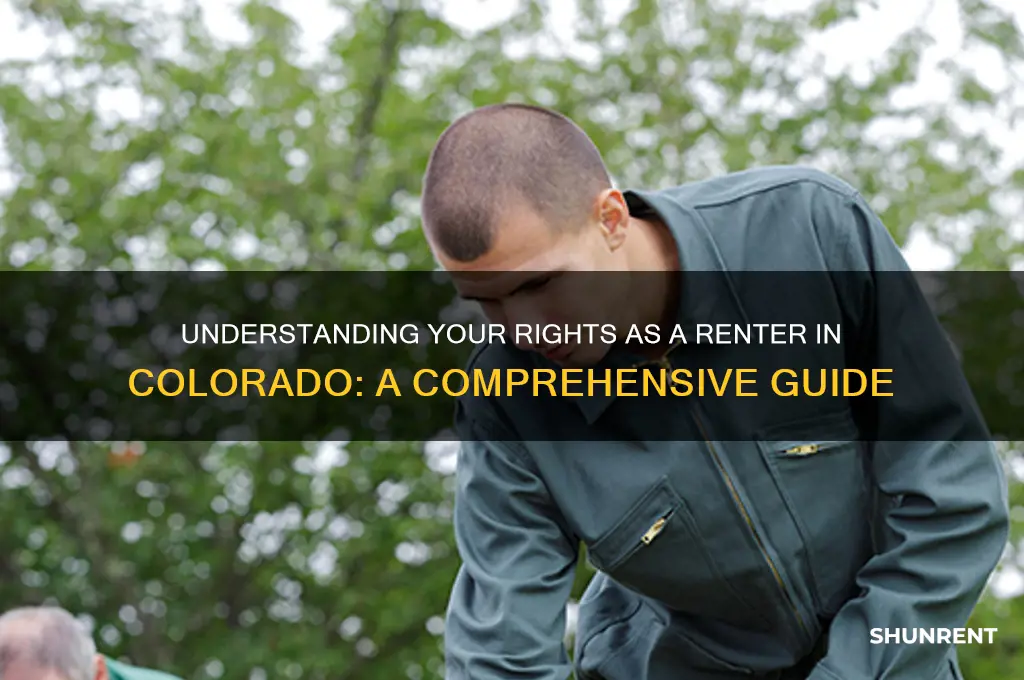 what are my rights as a renter in colorado