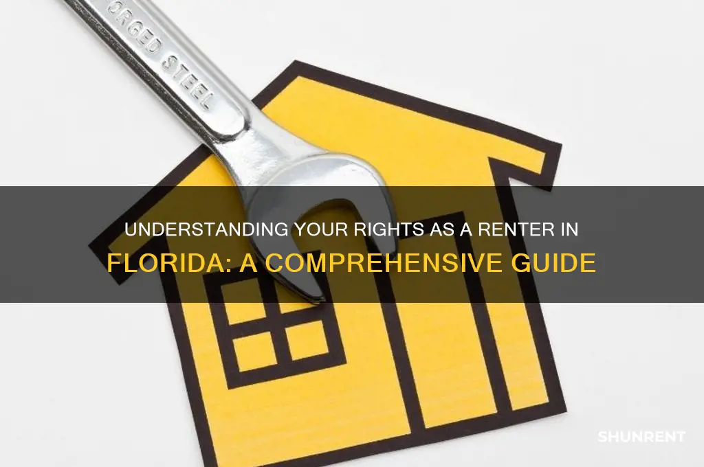 what are my rights as a renter in florida