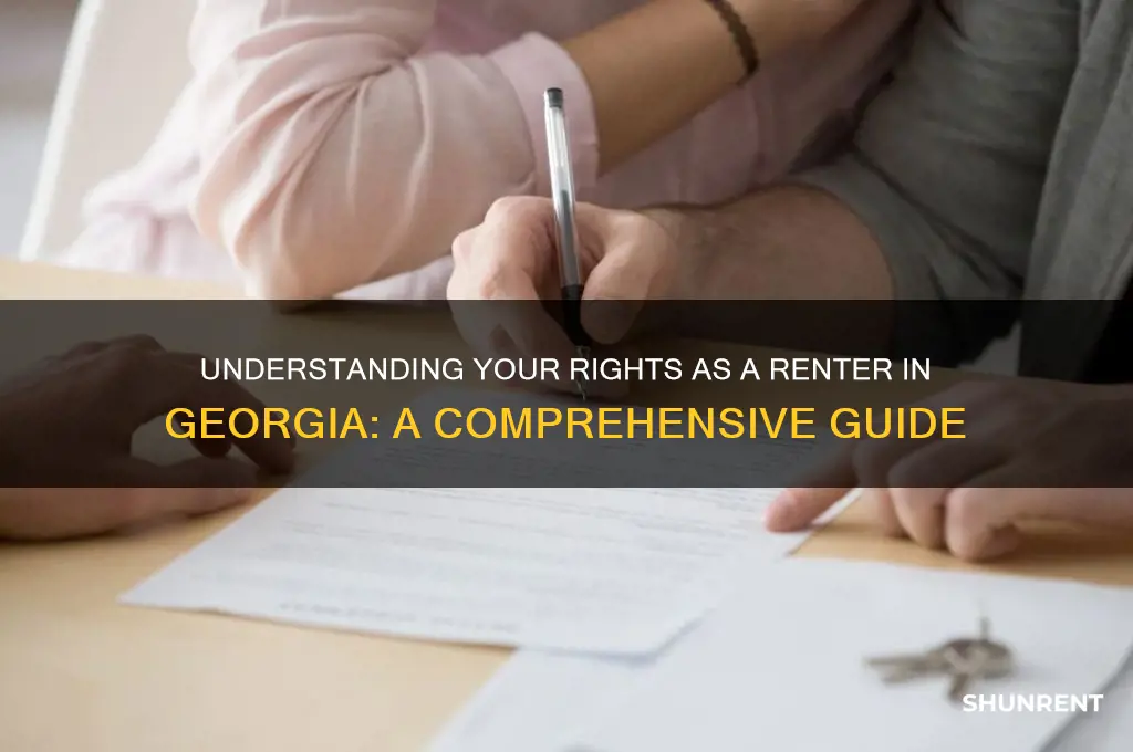 what are my rights as a renter in georgia