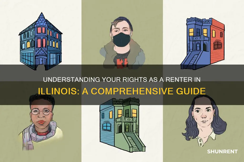 what are my rights as a renter in illinois