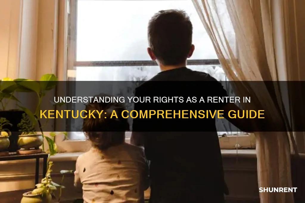 what are my rights as a renter in kentucky