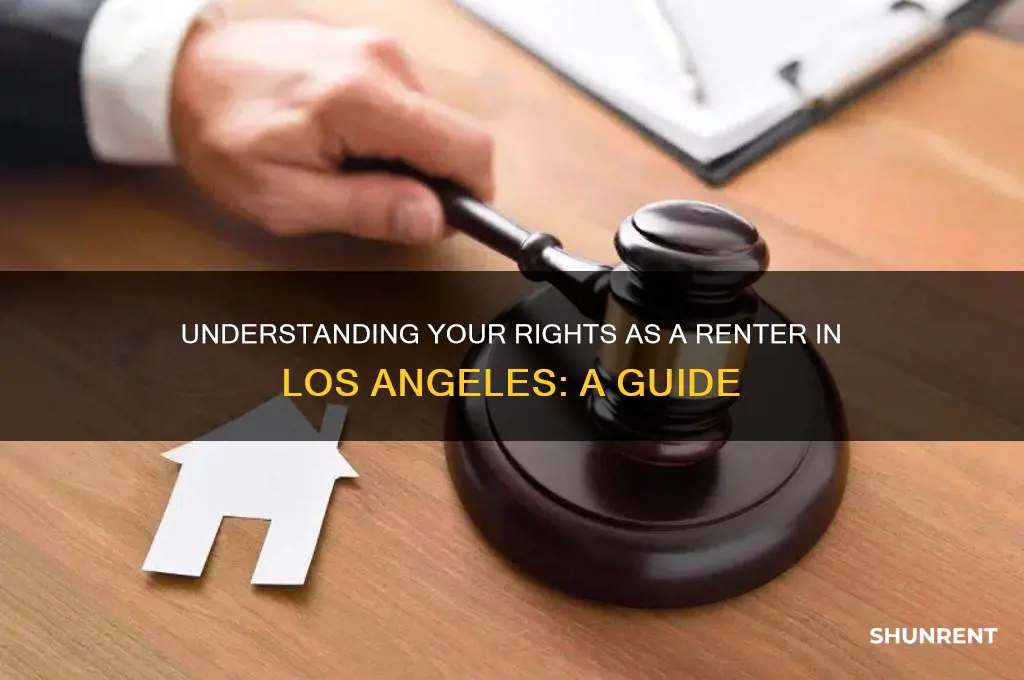 what are my rights as a renter in los angeles