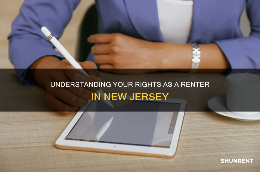 what are my rights as a renter in nj