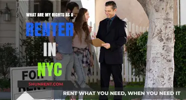 NYC Renter Rights: Understanding Your Legal Protections and Responsibilities