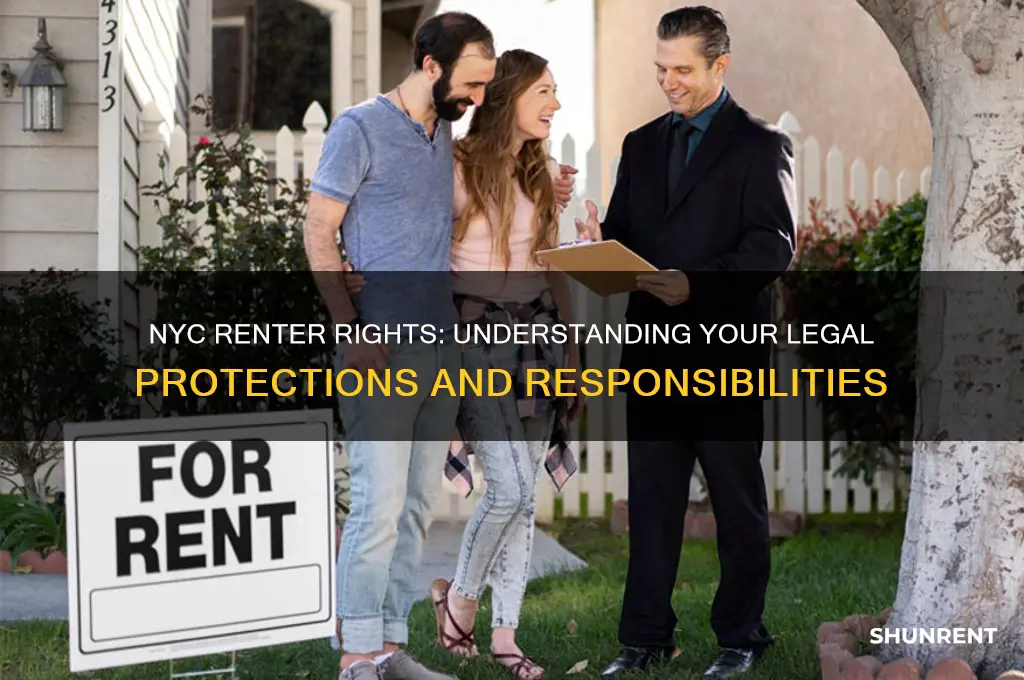 what are my rights as a renter in nyc
