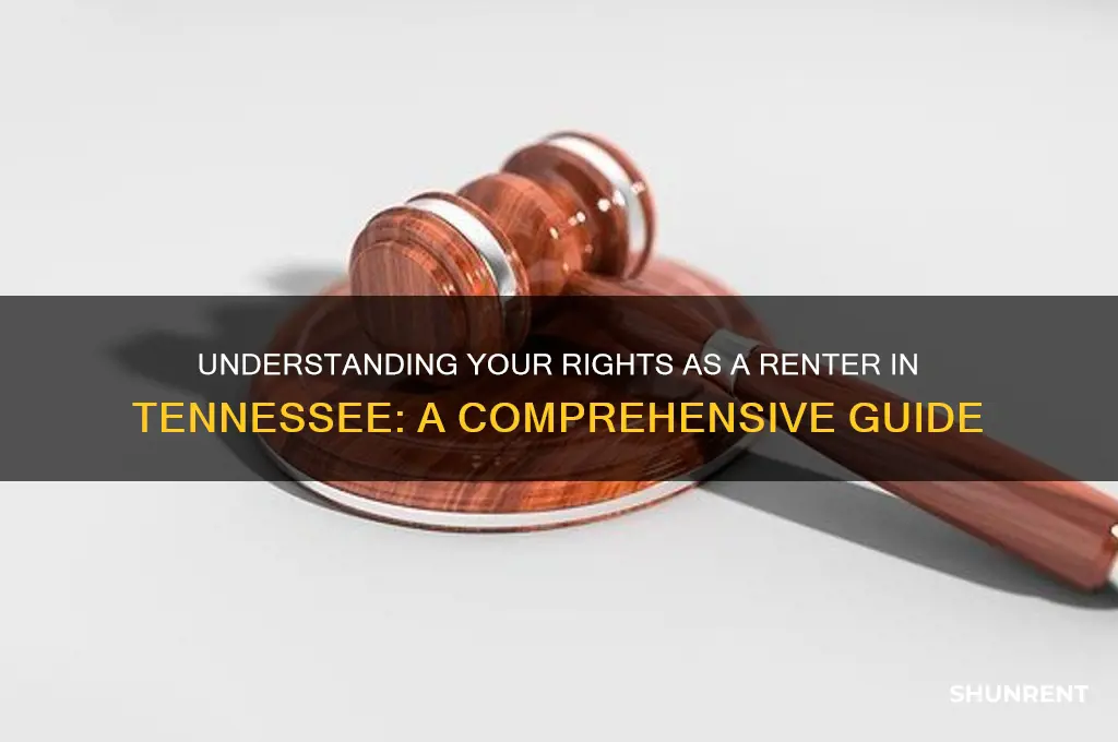what are my rights as a renter in tennessee