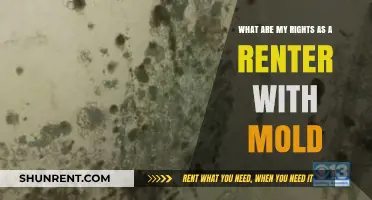 Renters' Rights: Mold Issues and Legal Recourse