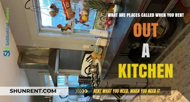 Renting a Kitchen Space: Exploring Shared Culinary Hubs for Chefs