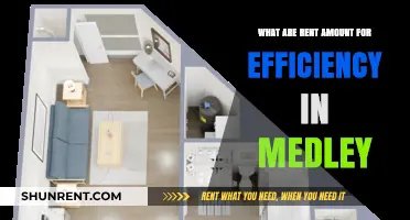 Exploring Efficiency Apartment Rent Prices in Medley, Florida